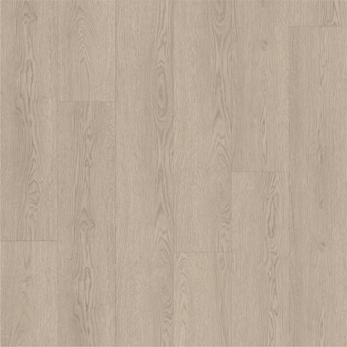 NM2006 지오드.png