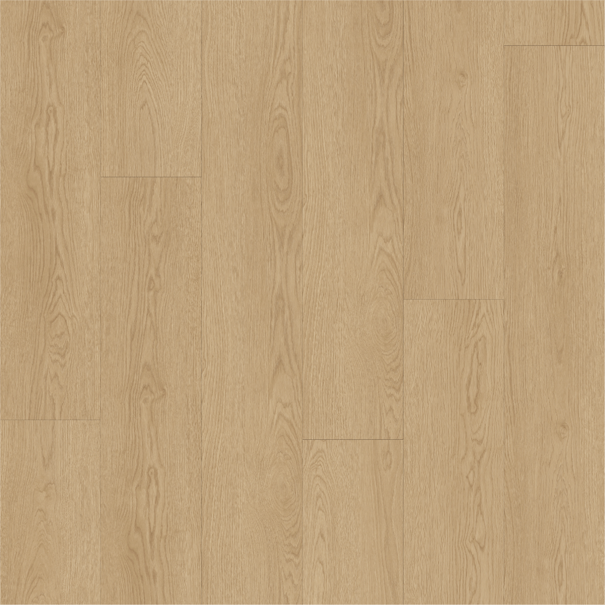 NM2001 리파드.png